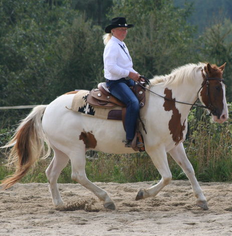 Bild 013.jpg