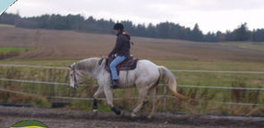 DSCI0451.JPG